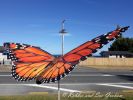 Kinetic monarch Butterfly by Robbie and Sue Graham